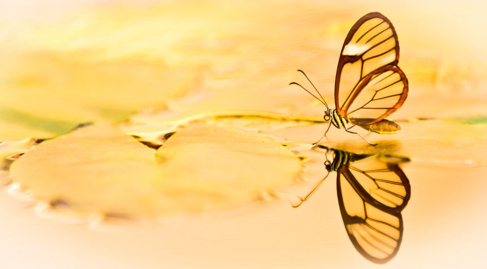 2. Platz Sieglinde Senser